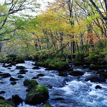 川べりに降りて見た三乱の流れ