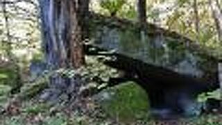 カツラの２本の大木が支える大きな岩屋