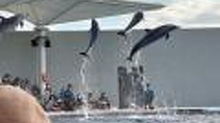 人気だからか人がめちゃくちゃ多い。