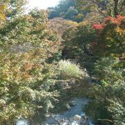 熱海梅園内の川