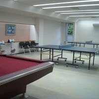 ビリヤード台と卓球台