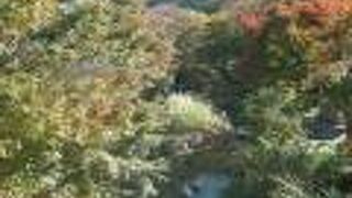 熱海梅園内の川