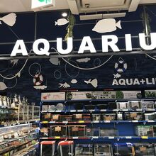 こんなに広いです