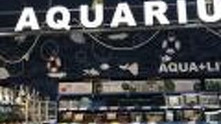 ペットショップが広いです