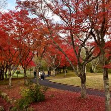 紅葉の名所でもある