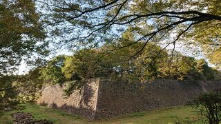 お堀越しに石垣を眺めました