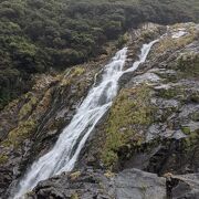 アクセスが比較的容易な屋久島の滝