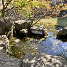 若返りの水の後側が女鳥羽川