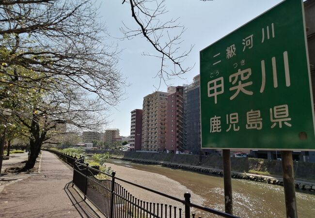 甲突川 クチコミ アクセス 営業時間 鹿児島市 フォートラベル 甲突川 クチコミ アクセス 営業時間 鹿児島市 フォートラベル