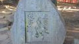 句は寂しげで風情も感じられました