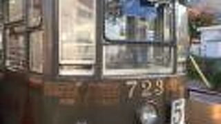 函館の景観の一部になっています。