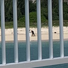 結婚式のドレスで、撮影している方