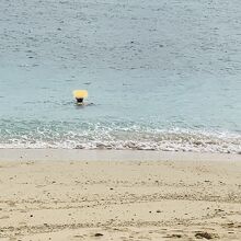 寒くないんでしょうか？