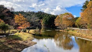 段戸裏谷原生林　きららの森