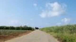 開発されていない場所も目立つ