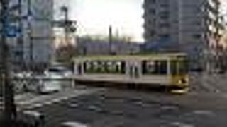 唯一残った都電の路線。飛鳥山博物館に資料があります。