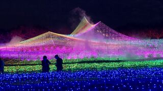 5時10分点灯でした。