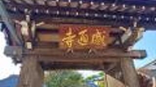 敷地内に動物がいるお寺