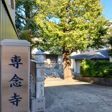きれいなお寺