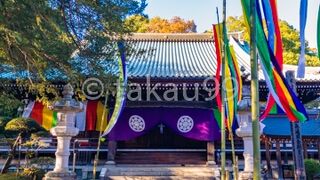 大玄関から続く書院・客殿広間の建物が大名屋敷ばりに立派で感銘を受けました。