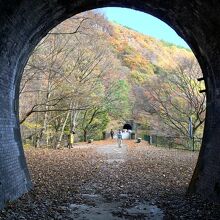 ６号トンネルから見ためがね橋の上