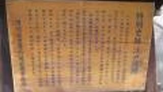 東京のオアシスです。