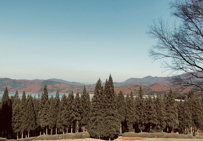 お手植え杉と田沢湖を見渡せる