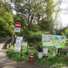 駐車場横の入り口　ここから８００ｍ山道を下る