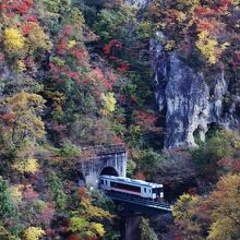 トンネルを出て紅葉に包まれた橋を渡る列車