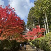 紅葉が素晴らしい