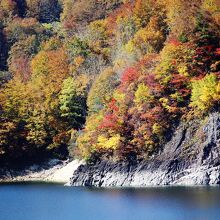 ダムからみた田子倉湖(右)の紅葉のアップ