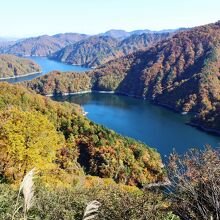 田子倉湖の上流部