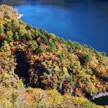 田子倉湖の上流部の紅葉のアップ