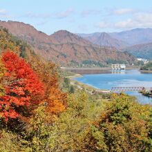 ダムの堰堤から望む紅葉
