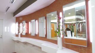 上下線一体です、ドッグランもある広いSA