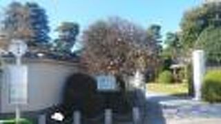 烏山寺町では独立した場所にある寺院