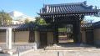 盆栽のような松の木が立派だった