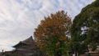 10月末には、一部の木の紅葉が始まっていました