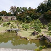 池の周りを一回り