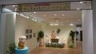 3階イベントスペースの、カワウソが可愛かった