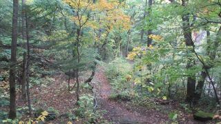 マスクを外してしまいました