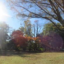 紅葉も見れたし、ぽかぽか暖かかったし、いいところですね。
