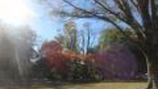 駐車場の入り口が、、、