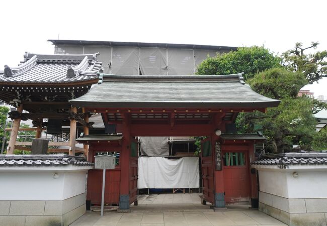 徳川家の重臣、酒井雅楽頭の屋敷から移築された表門