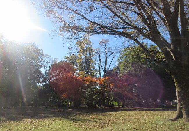 駐車場の入り口が、、、