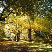 アクセスも良くて良い公園なのですが、週末はかなり混むのがネック。