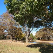 コロナの影響か、一部制限されてるエリアも...