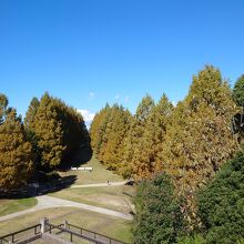 訪問時は学校遠足の子供達で賑わっていました。