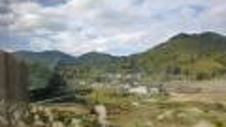 緑の中を軽快に走ります