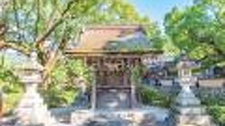 ビックリするくらい多くの人が素通りしています。